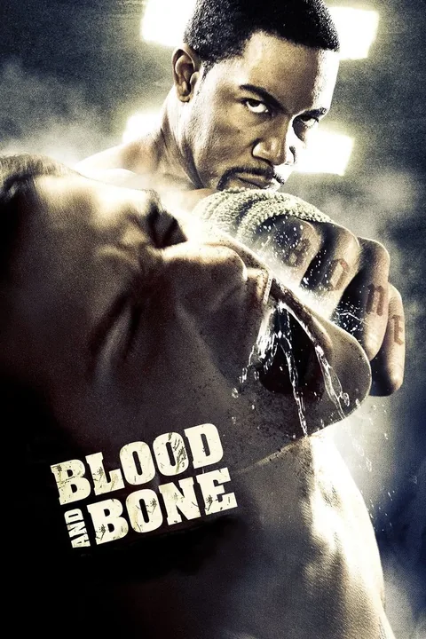 ملصق Blood and Bone