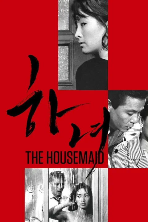 ملصق The Housemaid